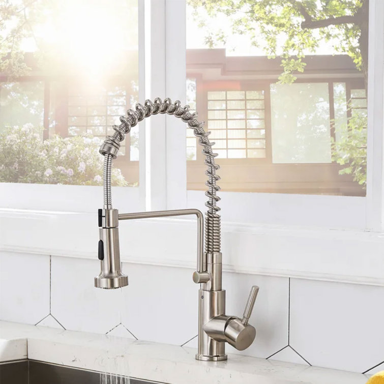 Hotis Pull Down Kitchen Faucet Wayfair